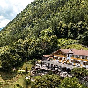 Hotel Gasthof Waldschenke